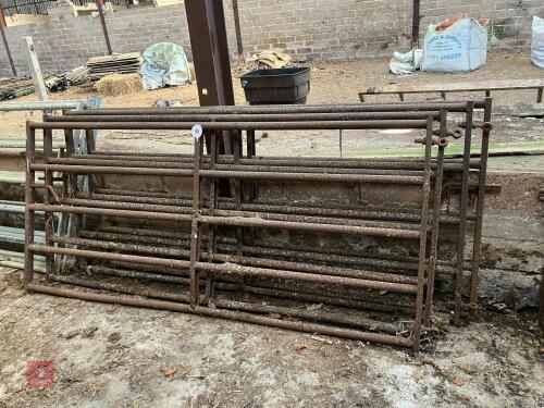 4 X 8' YARD GATES (69)