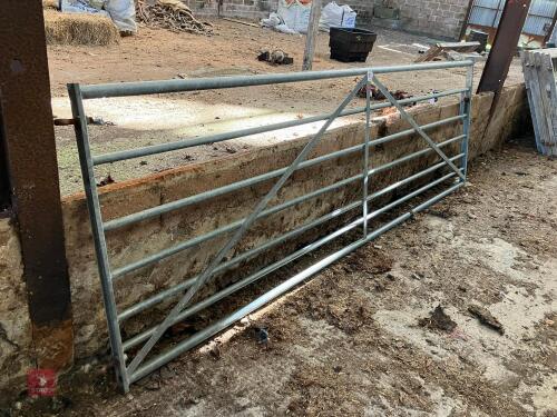 11'10'' GALVANISED FIELD GATE (66)