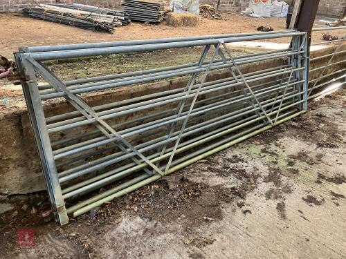 3 X 12'1'' GALVANISED GATES (65)