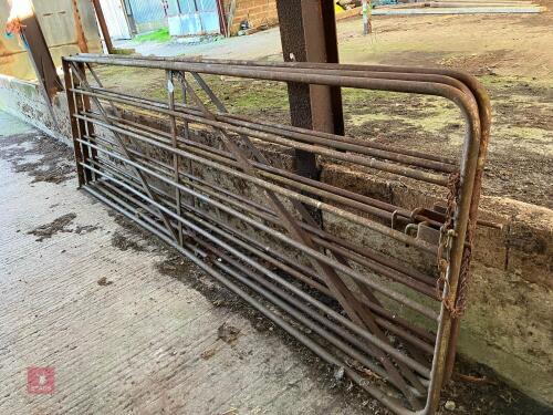 3 X 12' ACCESS GATES (63)