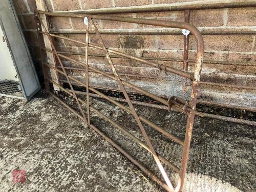 8' YARD GATE (58)