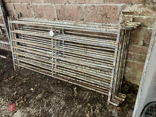 5 X 6' GALVANISED SHEEP HURDLES (56)