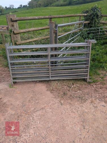13 GALVANISED SHEEP HURDLES