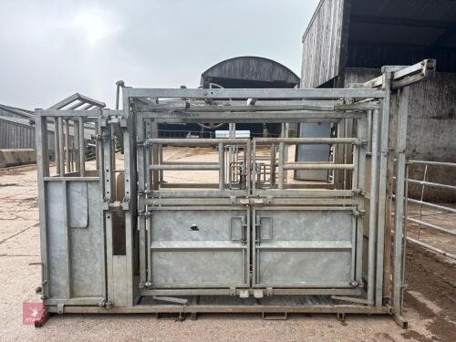 BATEMAN AMBASSADOR GALV CATTLE CRUSH