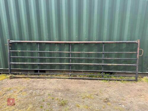 12' OLD STYLE METAL FIELD GATE