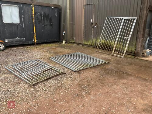 GALVANISED DOG RUN (1)