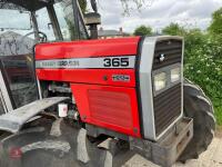 MASSEY FERGUSON 365 4WD TRACTOR - 5