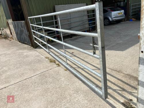 16' GALVANISED YARD GATE (1)