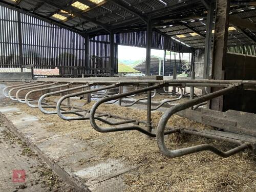 14 DOUBLE SIDED COW CUBICLES (42)
