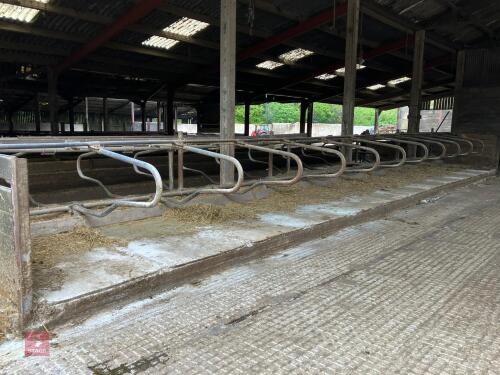 22 DOUBLE SIDED COW CUBICLES (41)
