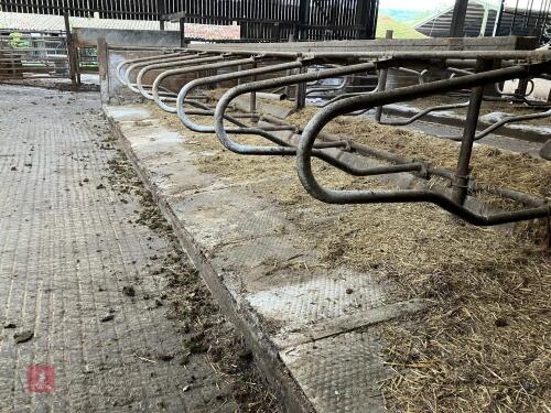 39 MAYO COW MATS (40)