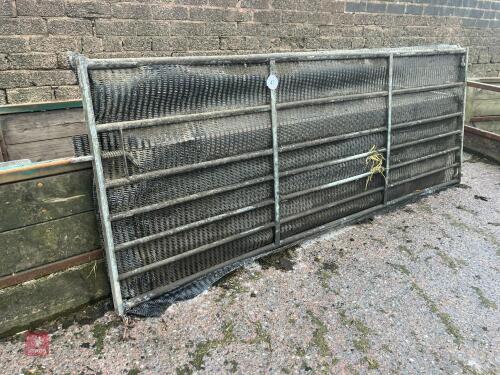 GALVANISED 10' SHEETED GATE (47)