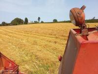 1974 MASSEY FERGUSON 307 COMBINE (S/R) - 5