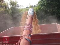 1974 MASSEY FERGUSON 307 COMBINE (S/R) - 8