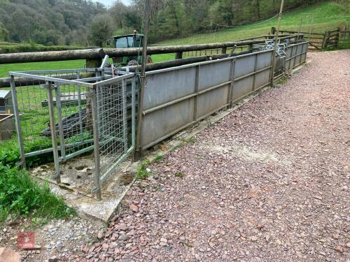 GALVANISED SHEEP RACE