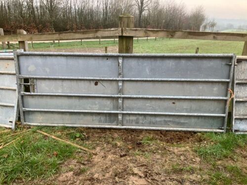 10' SHEETED GATE