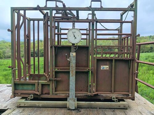 IAE CATTLE CRUSH & WEIGH PLATFORM