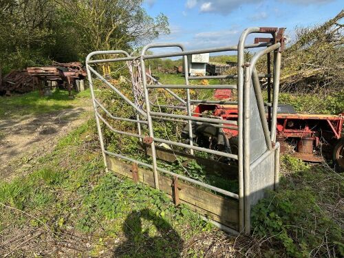 CATTLE CRUSH
