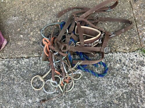 SELECTION OF HEAD COLLARS AND BITS