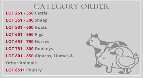SOUTH WEST SALE LOT CATEGORIES