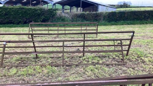13' 10'' X 3' GATE